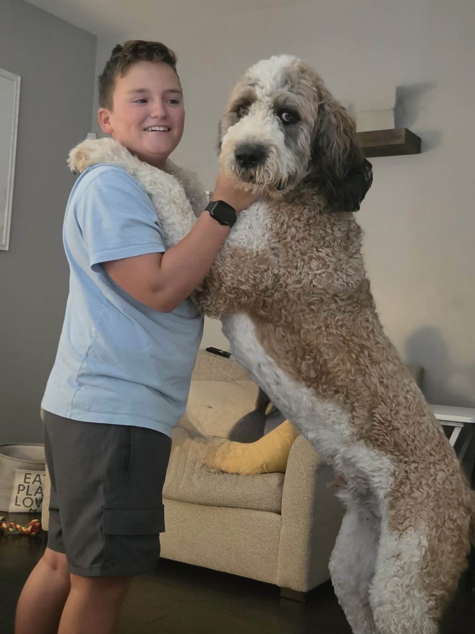 Bennett smiling with his dog Brodie, a large Poodle/St. Bernard mix